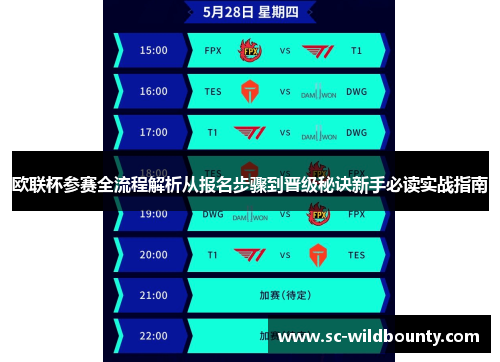 欧联杯参赛全流程解析从报名步骤到晋级秘诀新手必读实战指南