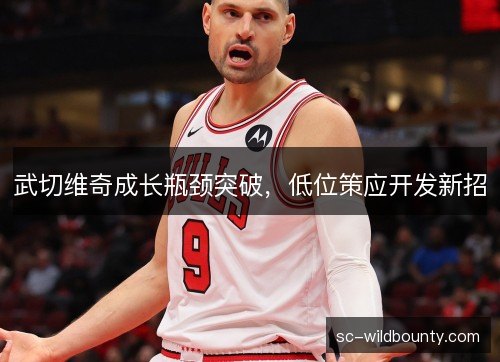 武切维奇成长瓶颈突破，低位策应开发新招