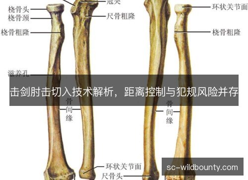 击剑肘击切入技术解析,距离控制与犯规风险并存 击剑肘击切入技术解析,距离控制与犯规风险并存
